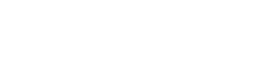 ROLEE Software Services